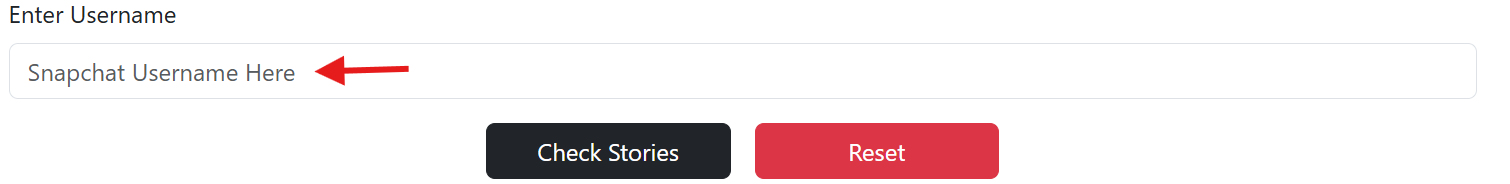 Snapchat Story Viewer Tool