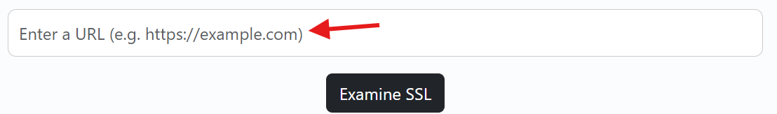 SSL Checker Tool